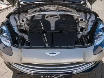 DBX 707 Silver Birch Oxford Tan