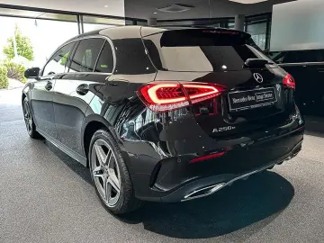 A 250 e AMGLi LED BURM DISTR EDW THERMOTRONIC