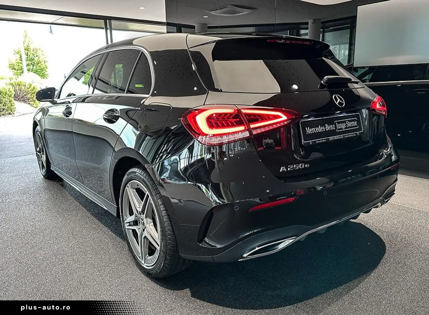 A 250 e AMGLi LED BURM DISTR EDW THERMOTRONIC