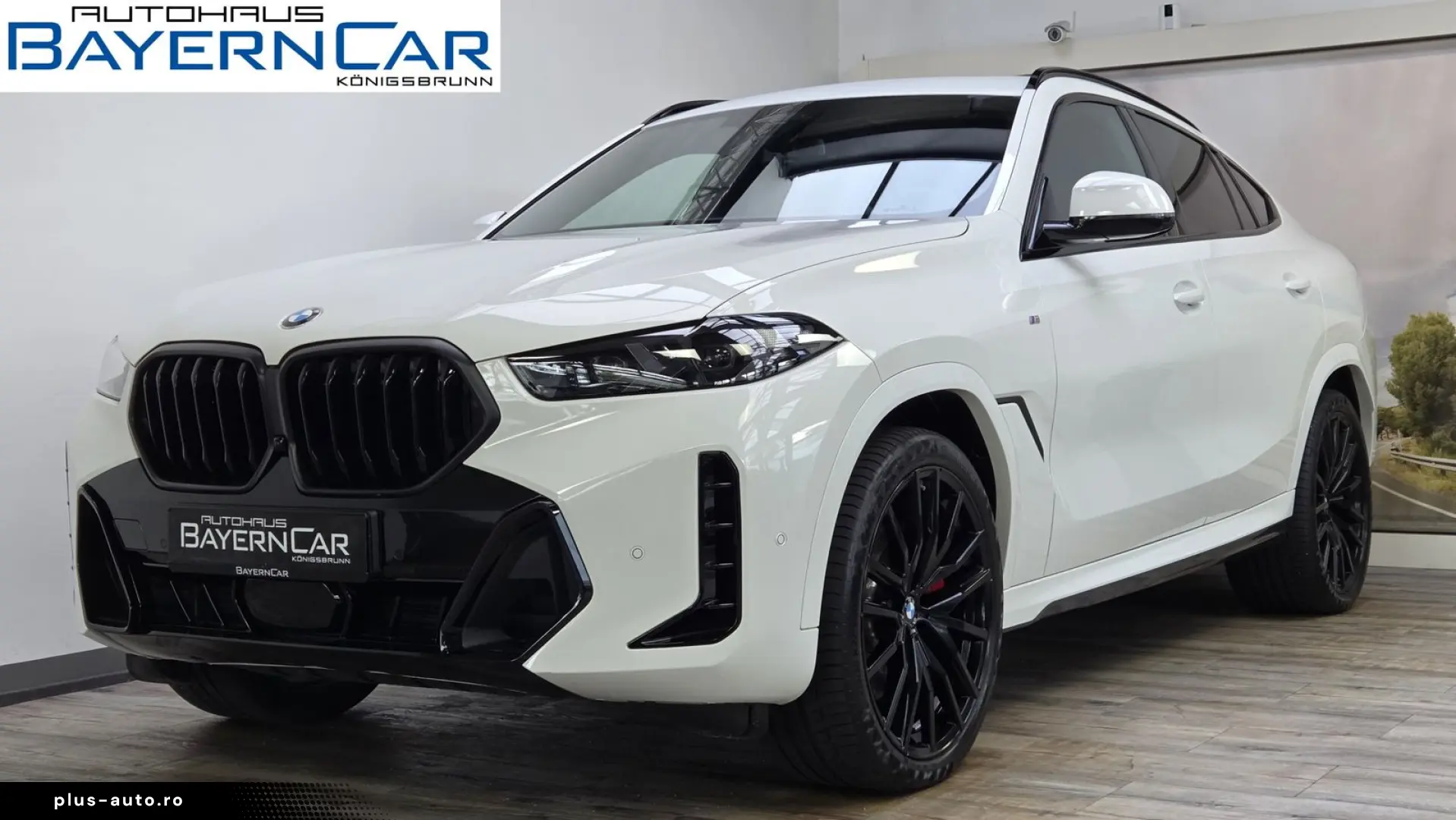 X6 xDrive30d M Sport Pro 22Zoll Luftfeder AHK