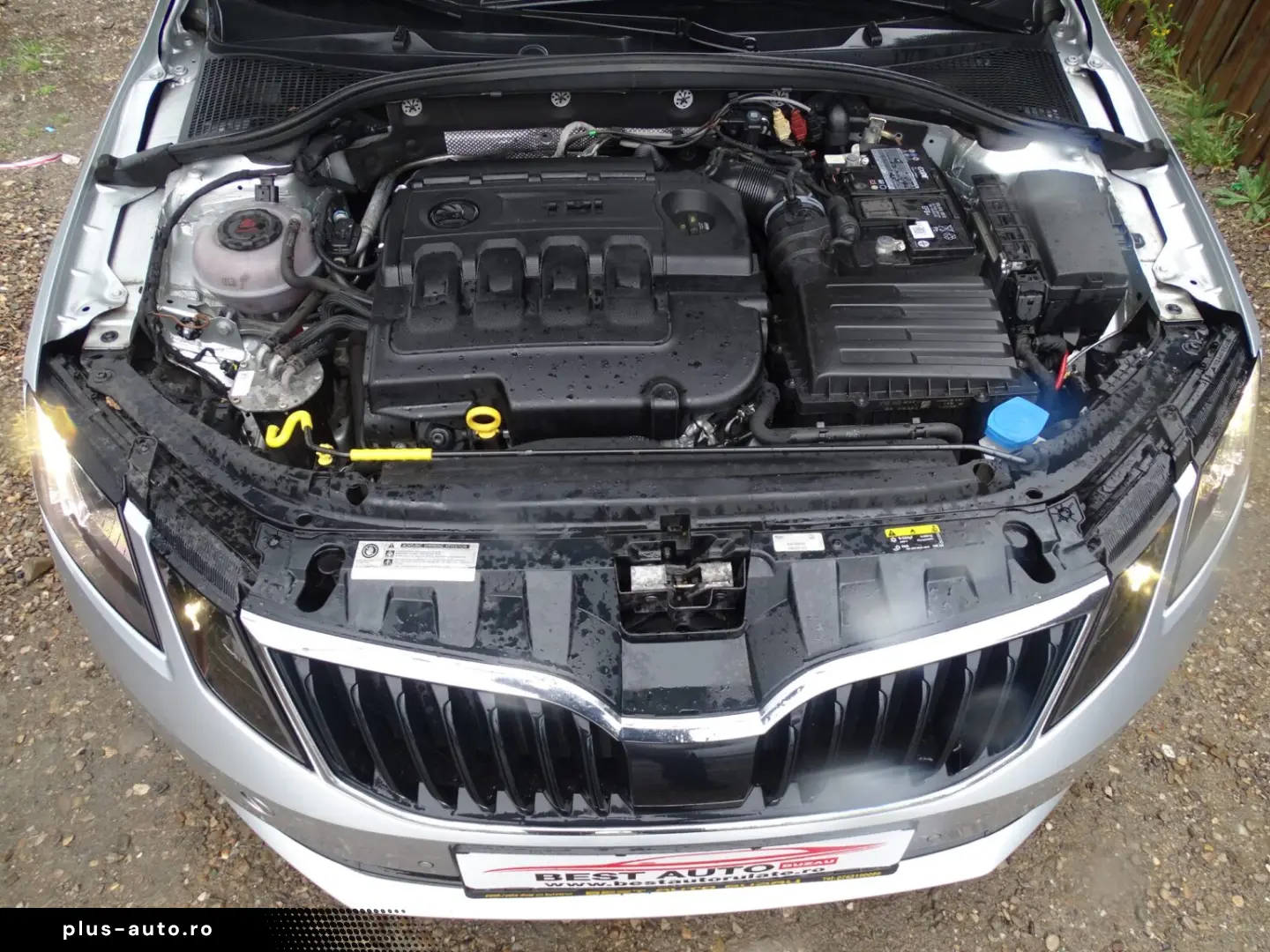 SKODA OCTAVIA III 4X4 2.0 TDI DSG 2019