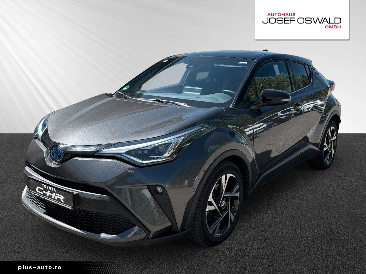 C-HR Hybrid Team D