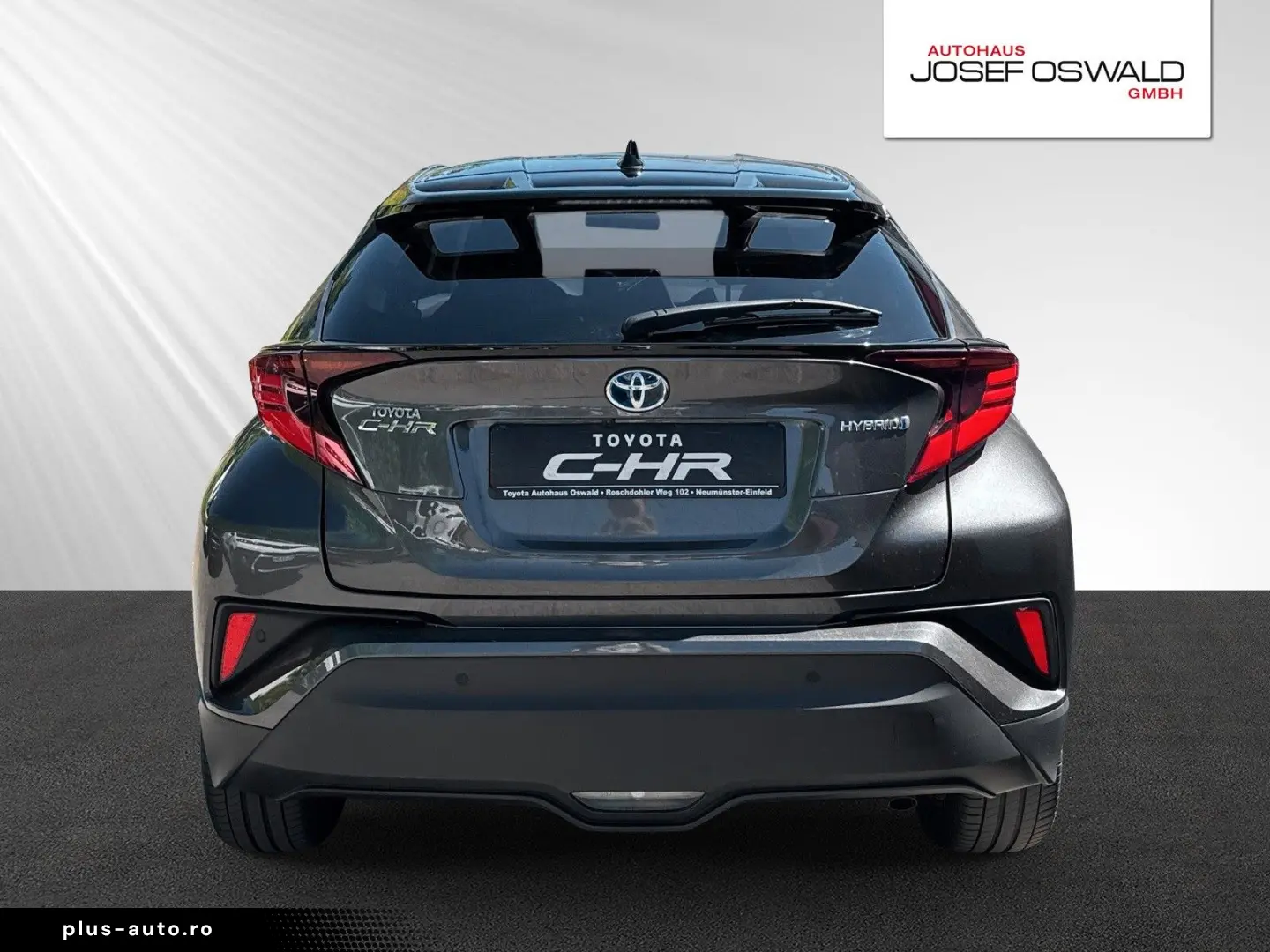 C-HR Hybrid Team D