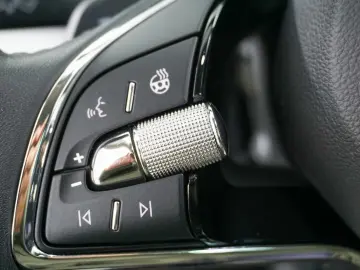 Octavia Clever iV Aut. ACC Navi Kamera LED