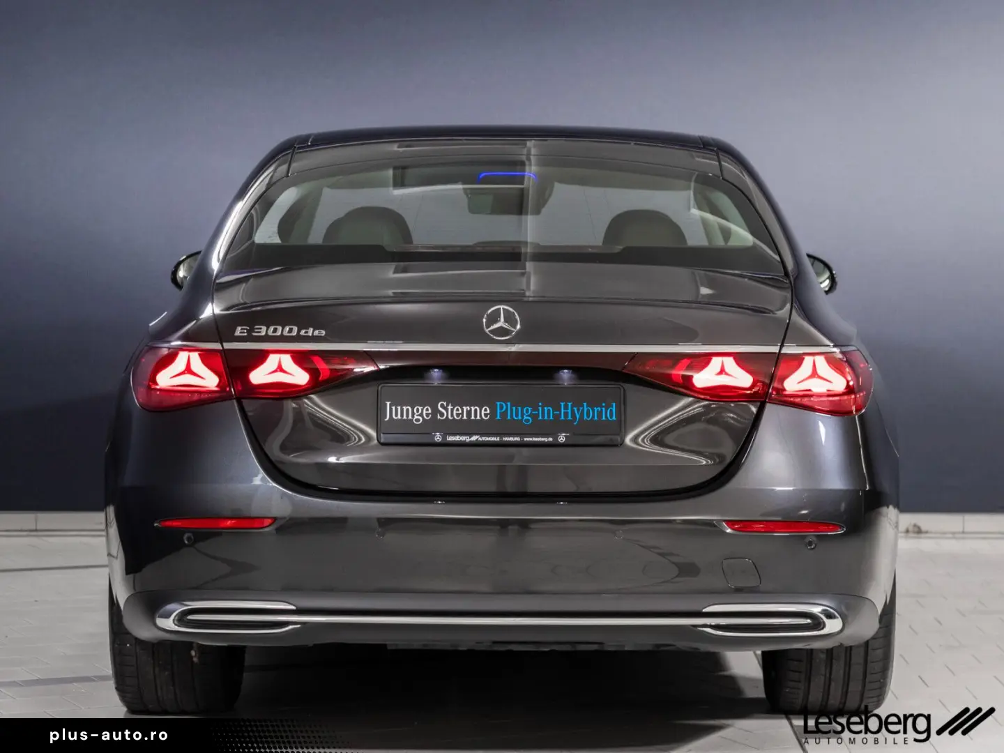 E 300 de Avantgarde DIG.LIGHT Distro Memory 360