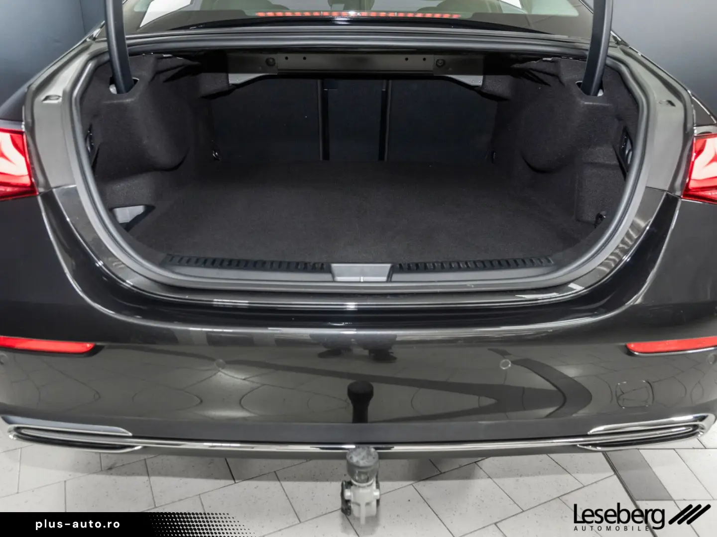 E 300 de Avantgarde DIG.LIGHT Distro Memory 360