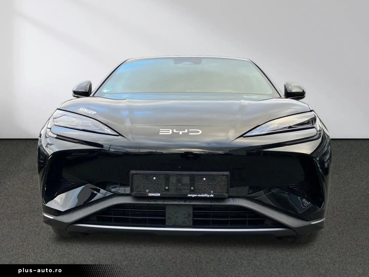 Sealion 7 Excellence AWD 360 -Kamera Head-Up LED