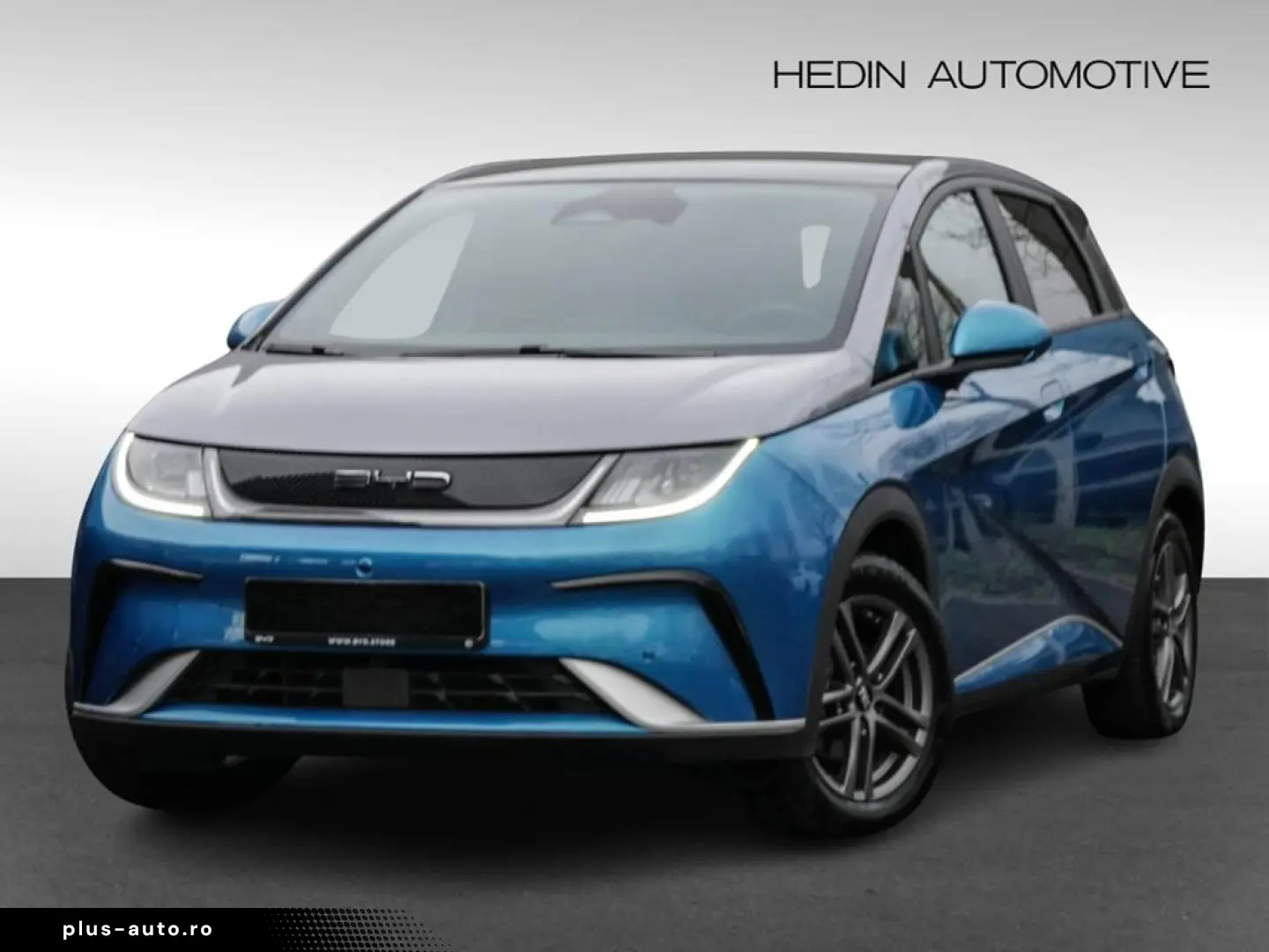 DOLPHIN DESIGN  LED PANO SHZ 360  KEYL Tempomat