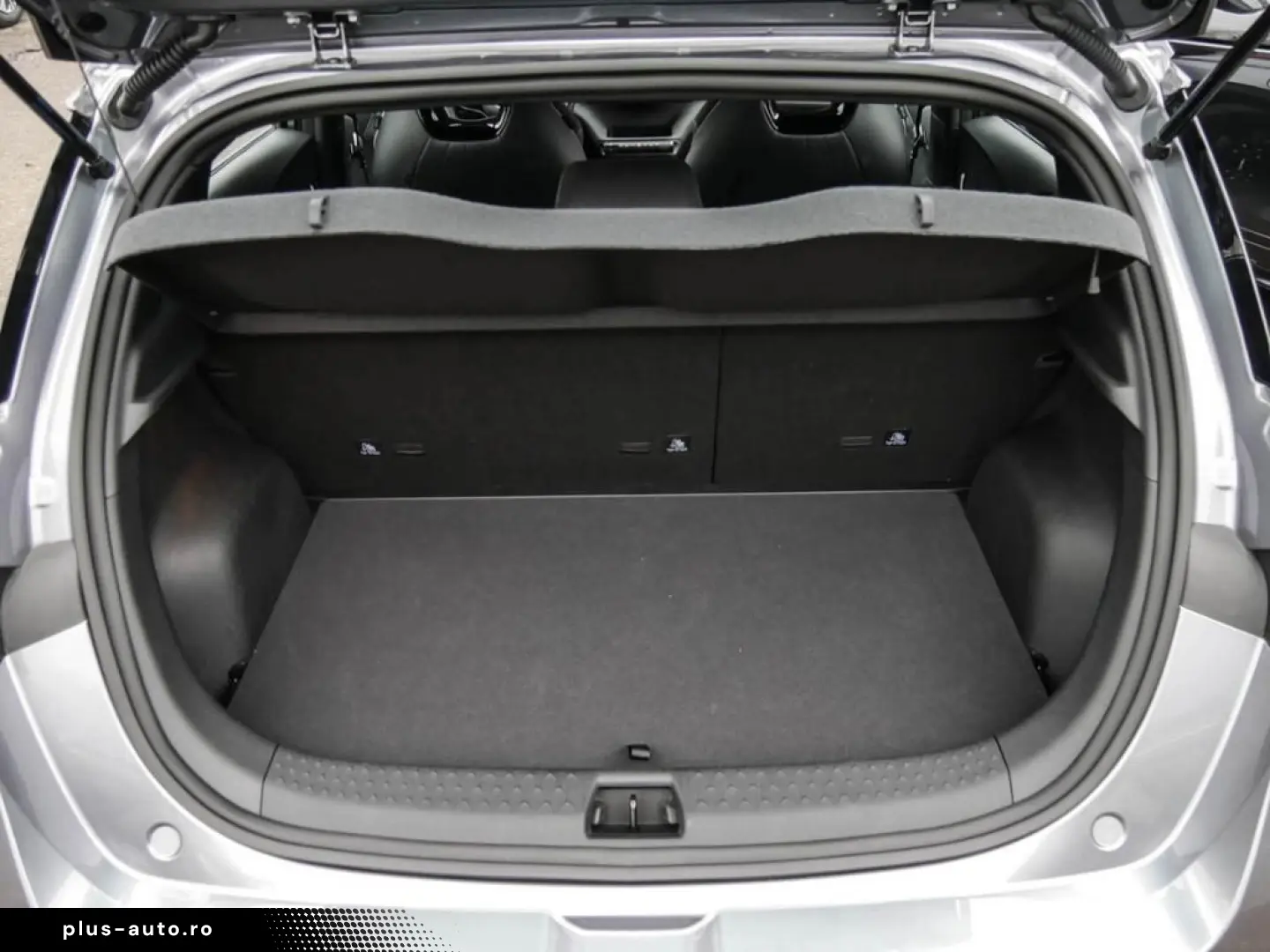 DOLPHIN DESIGN  LED PANO SHZ 360  KEYL Tempomat