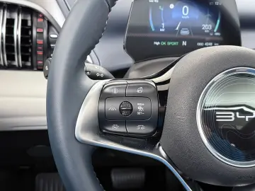 ATTO 3 62kWh Design SOH 98% panorama dach Leer E