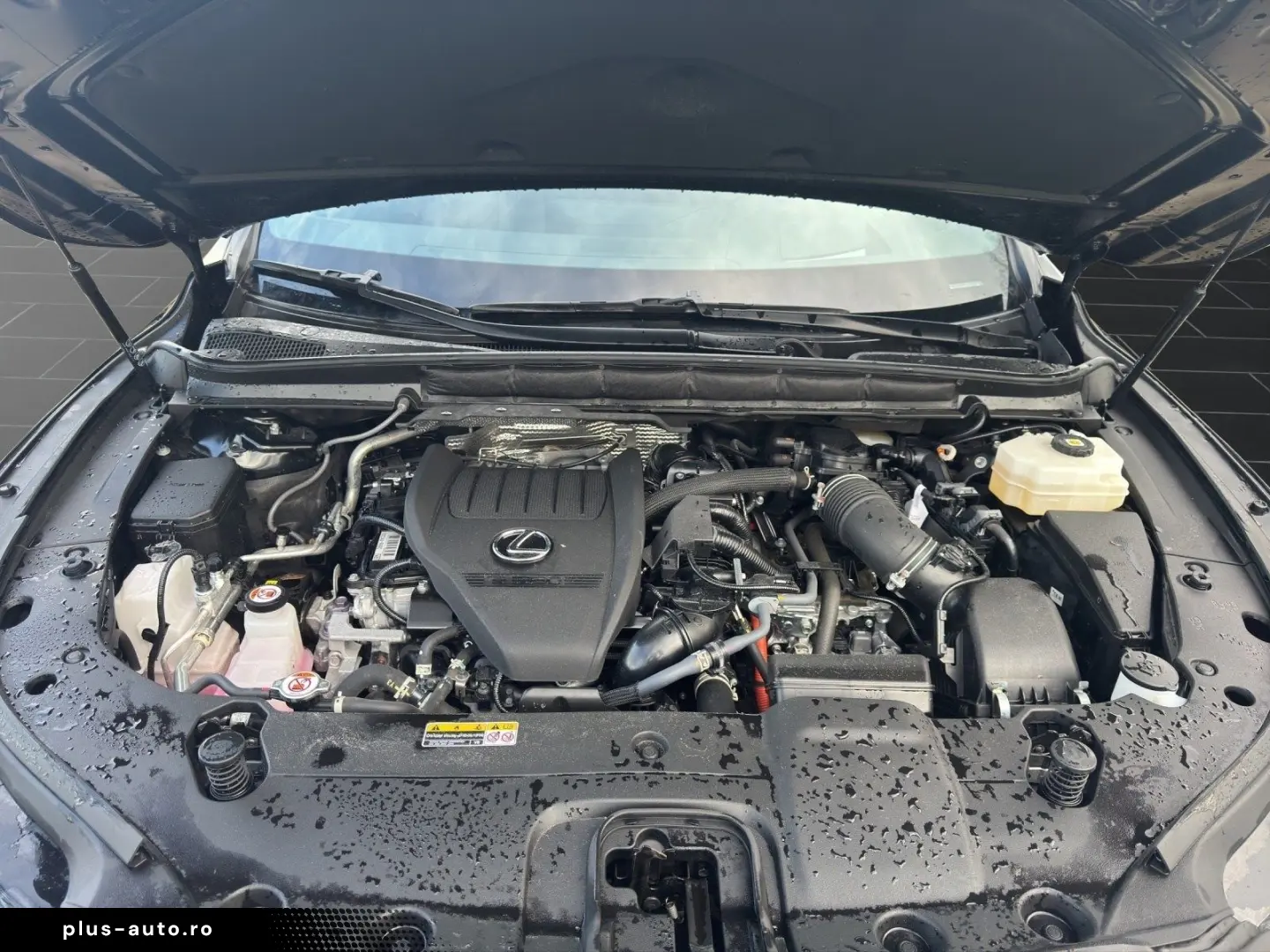 RX 500 (AL30) 500 h DIRECT4 F SPORT Pano