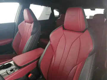 RX 500 F Sport  rotes Leder