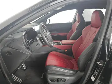 RX 500 F Sport  rotes Leder