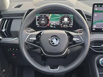 Kodiaq TDI 4x4 STNDHZ AHK PANO LEDER CANTON 360