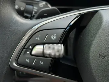 2.0TDi 4x4 Exclusive PDACH STHZ DCC eHK LM20 AHK