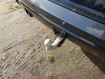 X6 xD 30d M Sport Pro PANORAMA CITRIN 360