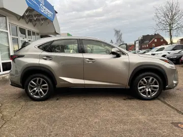 NX 300 h E-Four Business LED Kam Navi Keyless