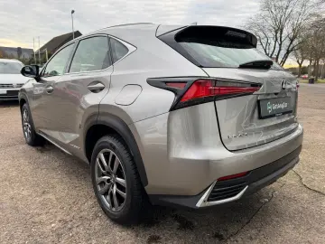 NX 300 h E-Four Business LED Kam Navi Keyless