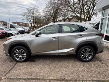 NX 300 h E-Four Business LED Kam Navi Keyless