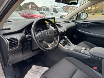 NX 300 h E-Four Business LED Kam Navi Keyless