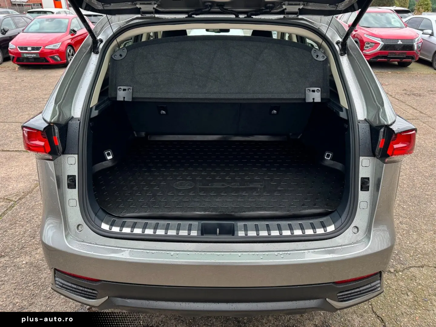 NX 300 h E-Four Business LED Kam Navi Keyless