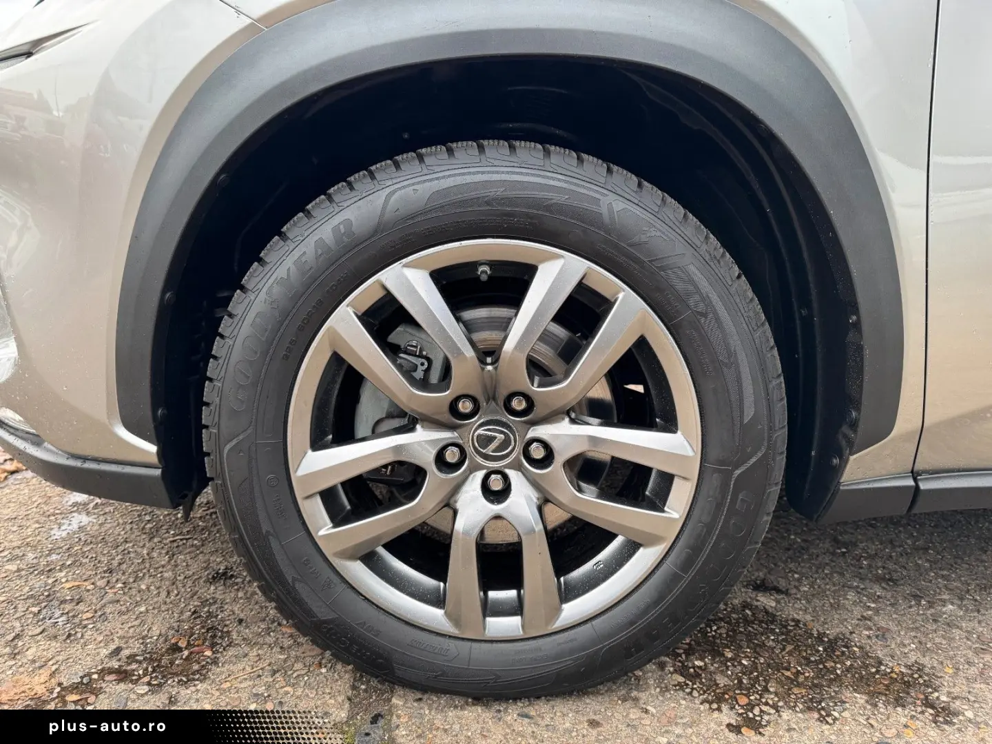 NX 300 h E-Four Business LED Kam Navi Keyless