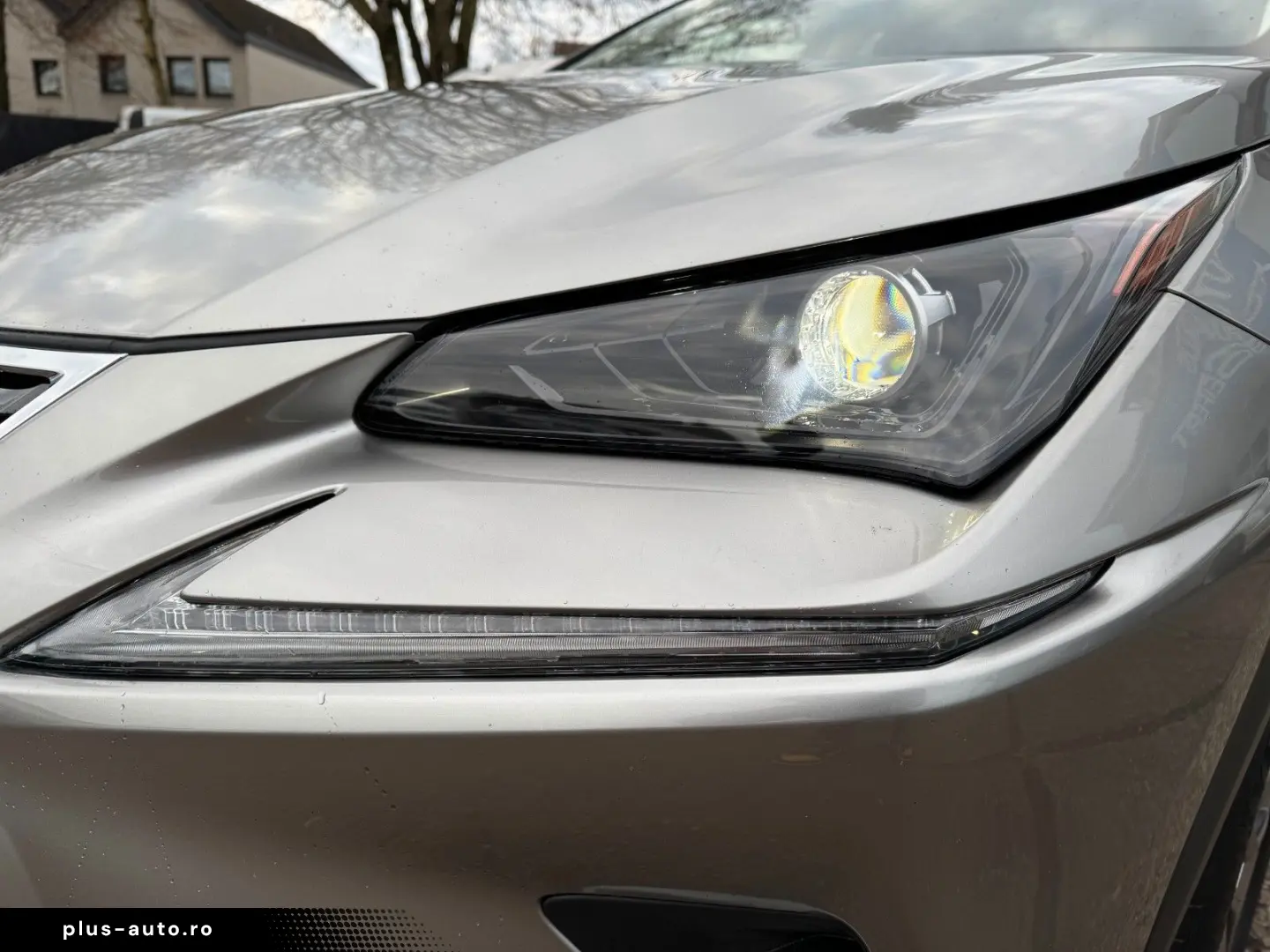 NX 300 h E-Four Business LED Kam Navi Keyless