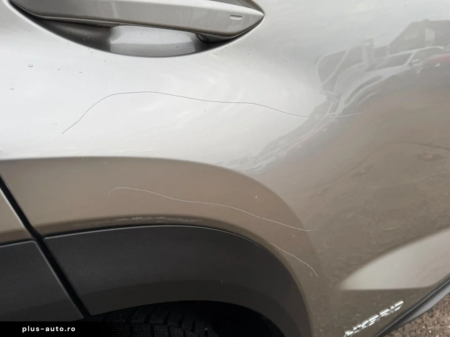 NX 300 h E-Four Business LED Kam Navi Keyless