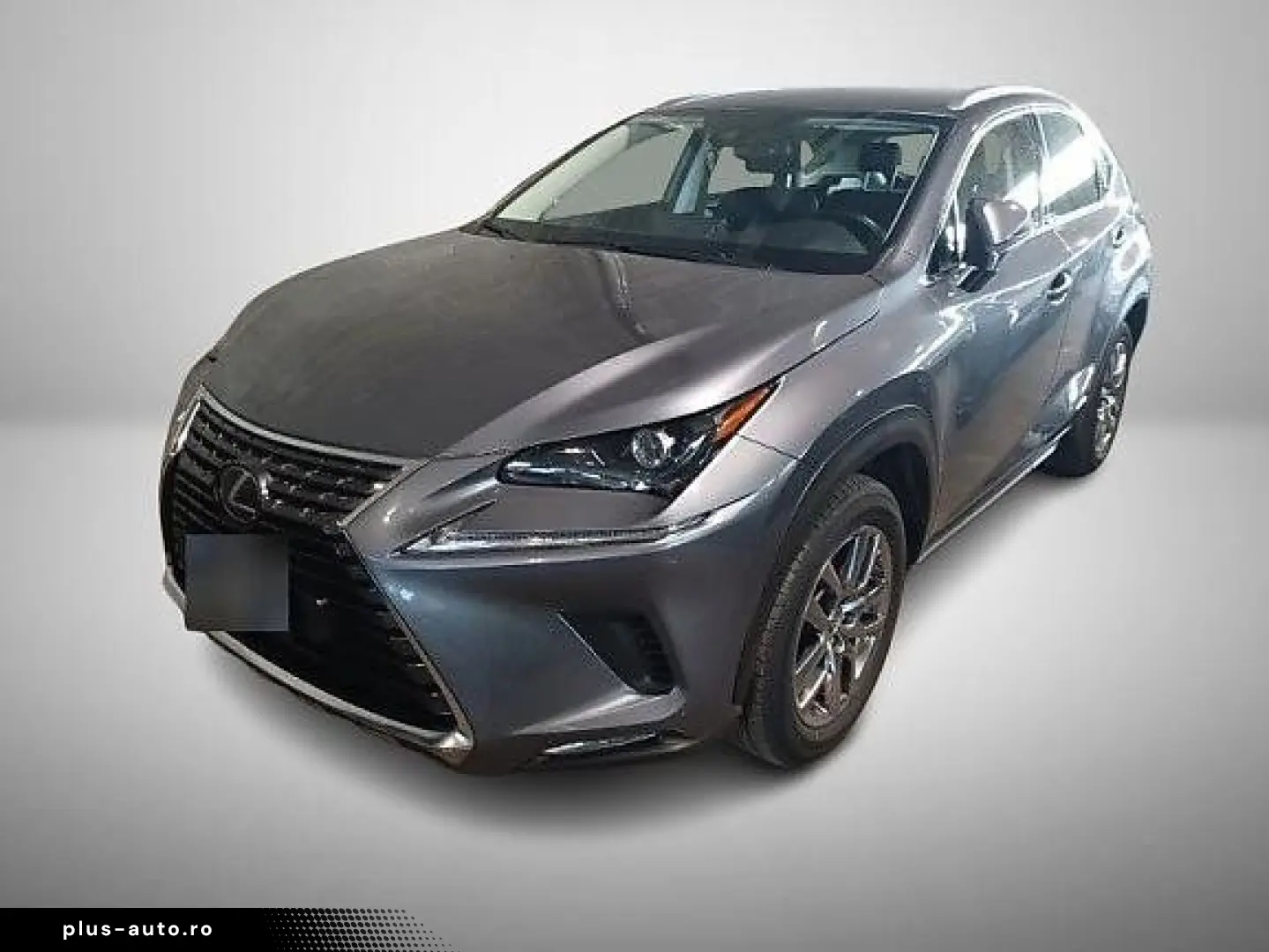 NX 300 2.5 HEV E-CVT Kamera ACC KeyLess LED