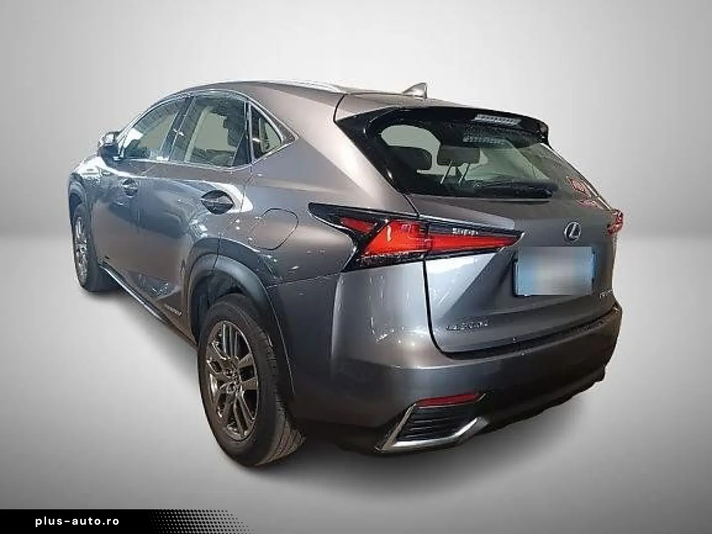 NX 300 2.5 HEV E-CVT Kamera ACC KeyLess LED