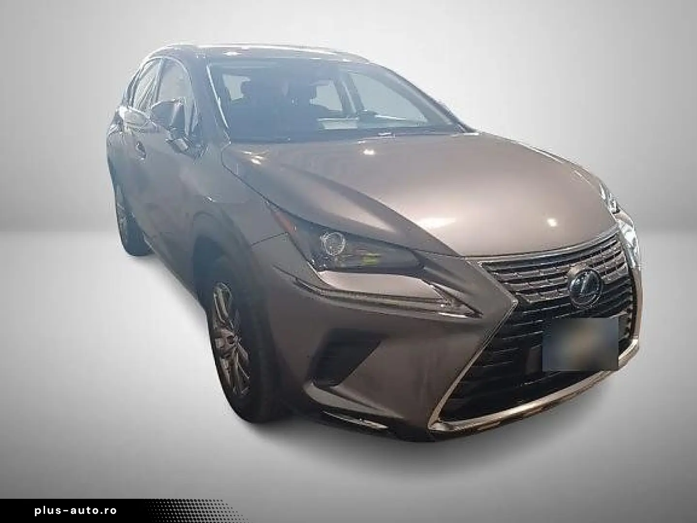 NX 300 2.5 HEV E-CVT Kamera ACC KeyLess LED