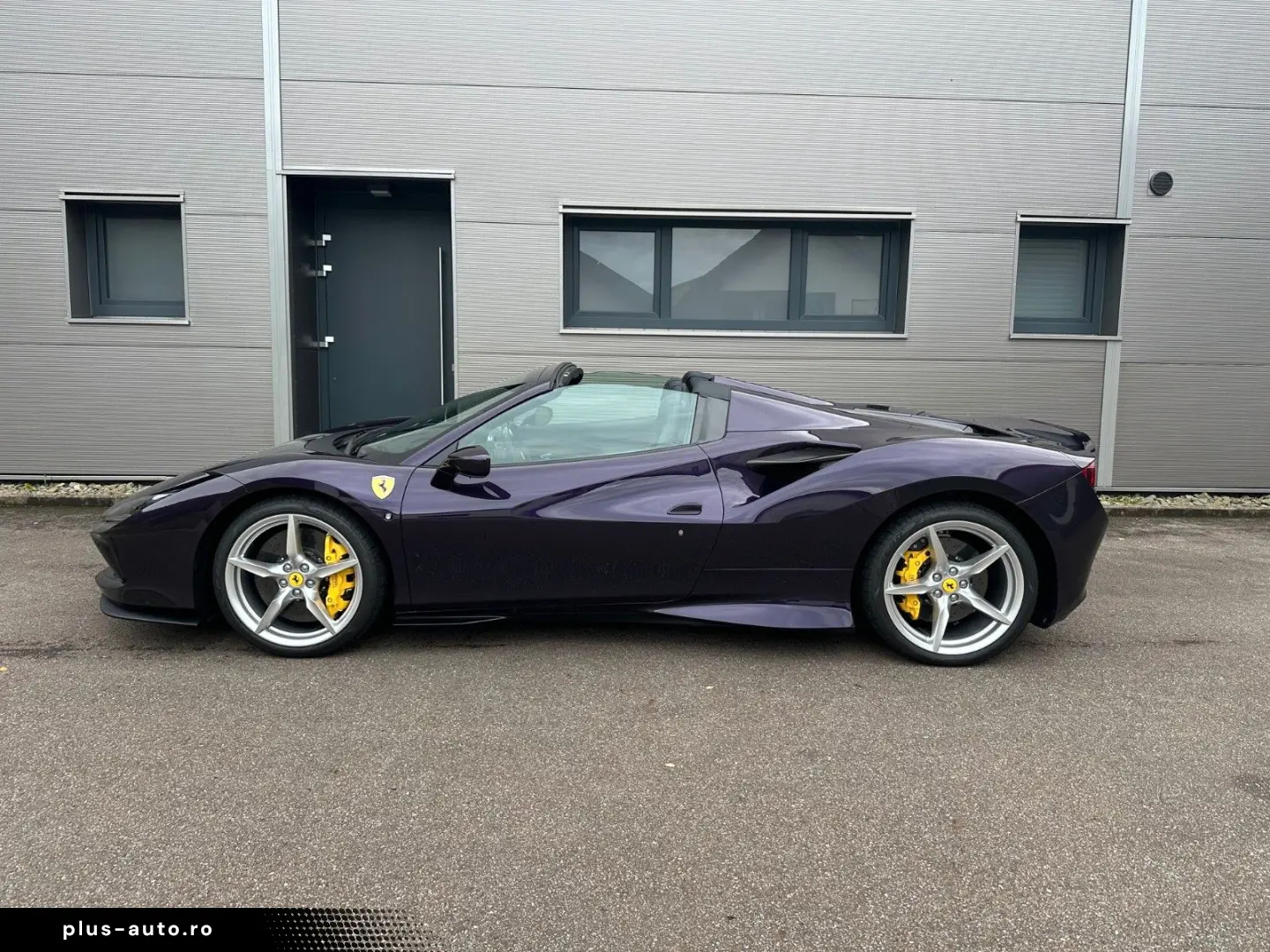 F8 Spider Viola HongKong   Voll
