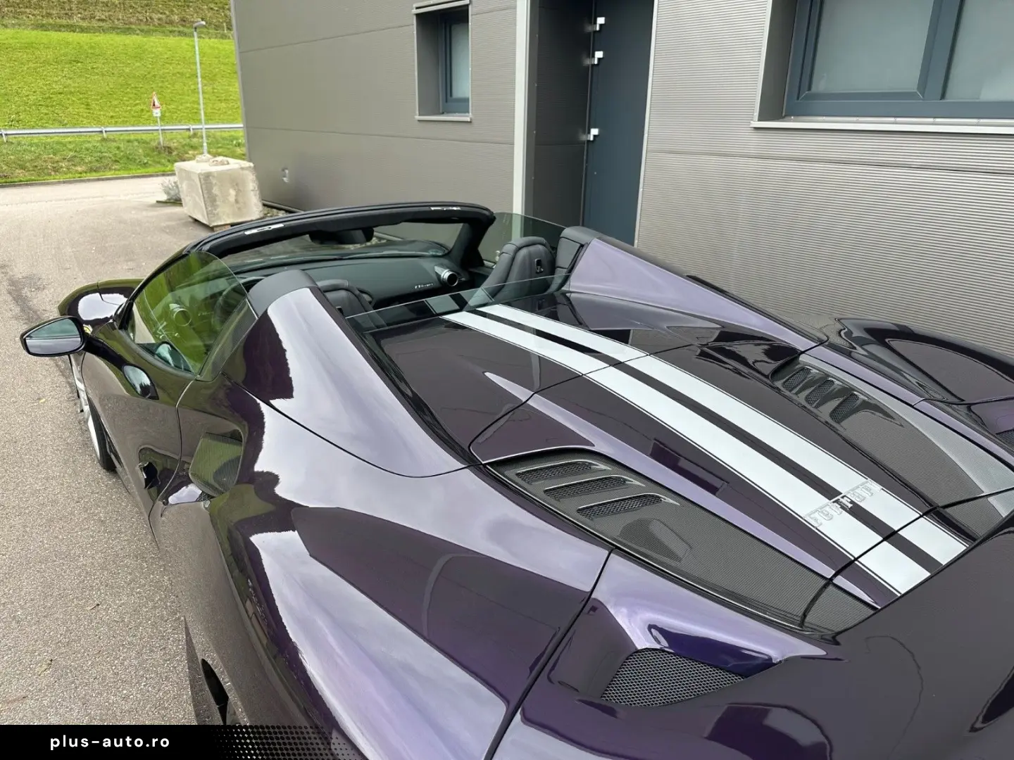 F8 Spider Viola HongKong   Voll