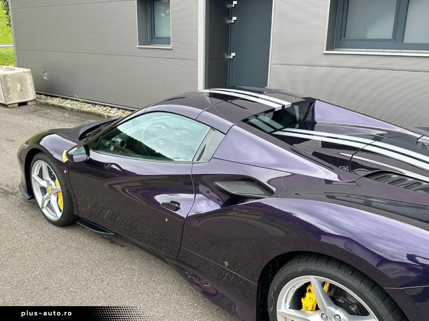 F8 Spider Viola HongKong   Voll