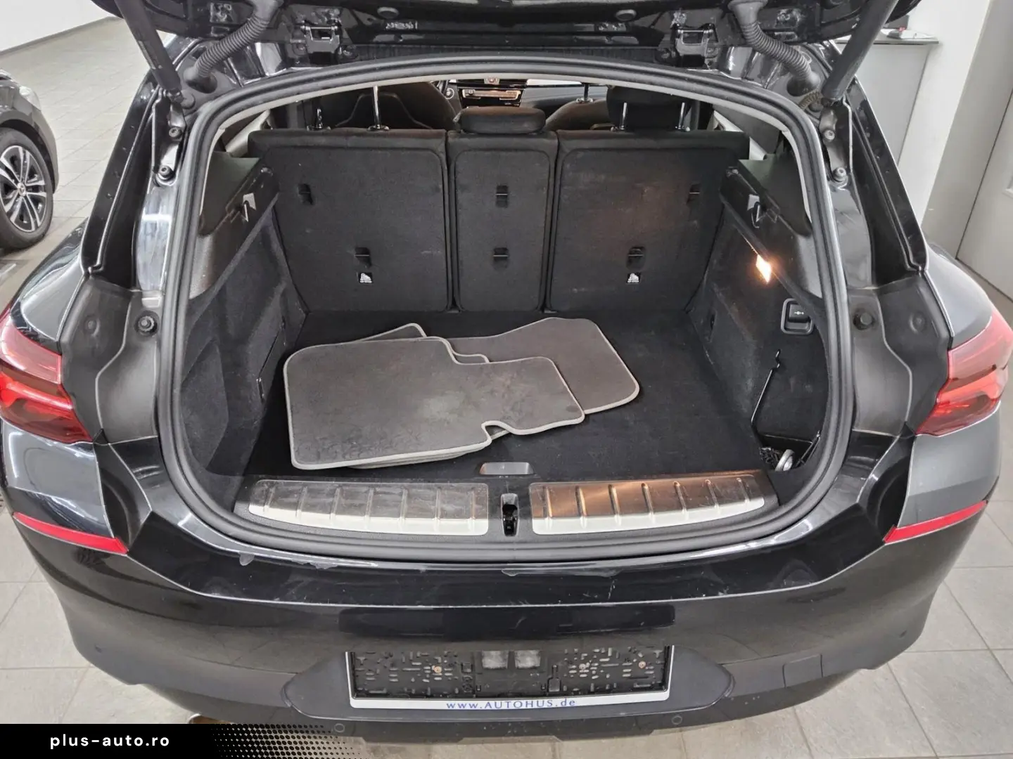 X2 sDrive18i Advantage Navi LED RfK HiFi Shz PDC