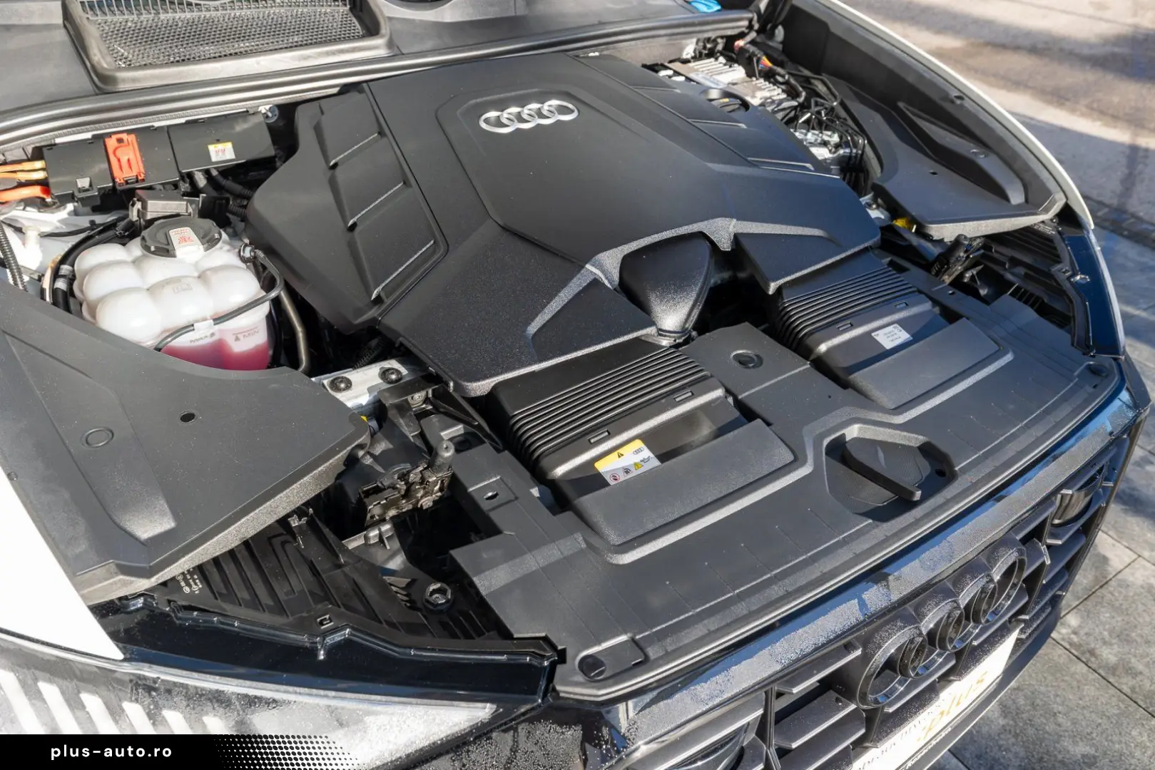 Q8 competition plus 55 TFSI qu. tiptr.(AHK Pano