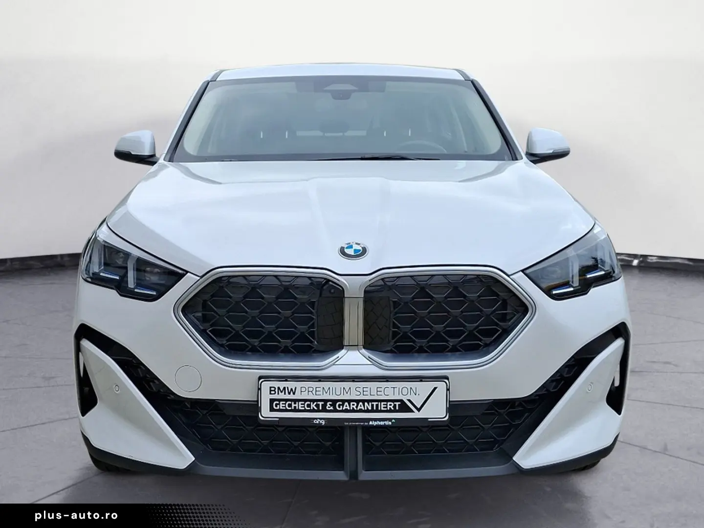 X2 sDrive20i Steptronic DCT Head-Up Driving Plus