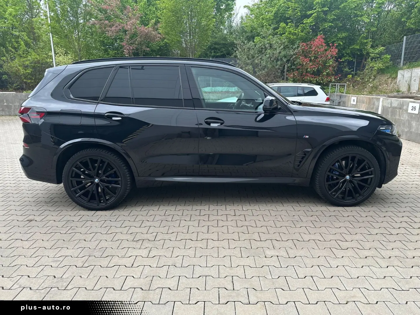 X5 xDrive30d M Sport Panoramadach ICONIC