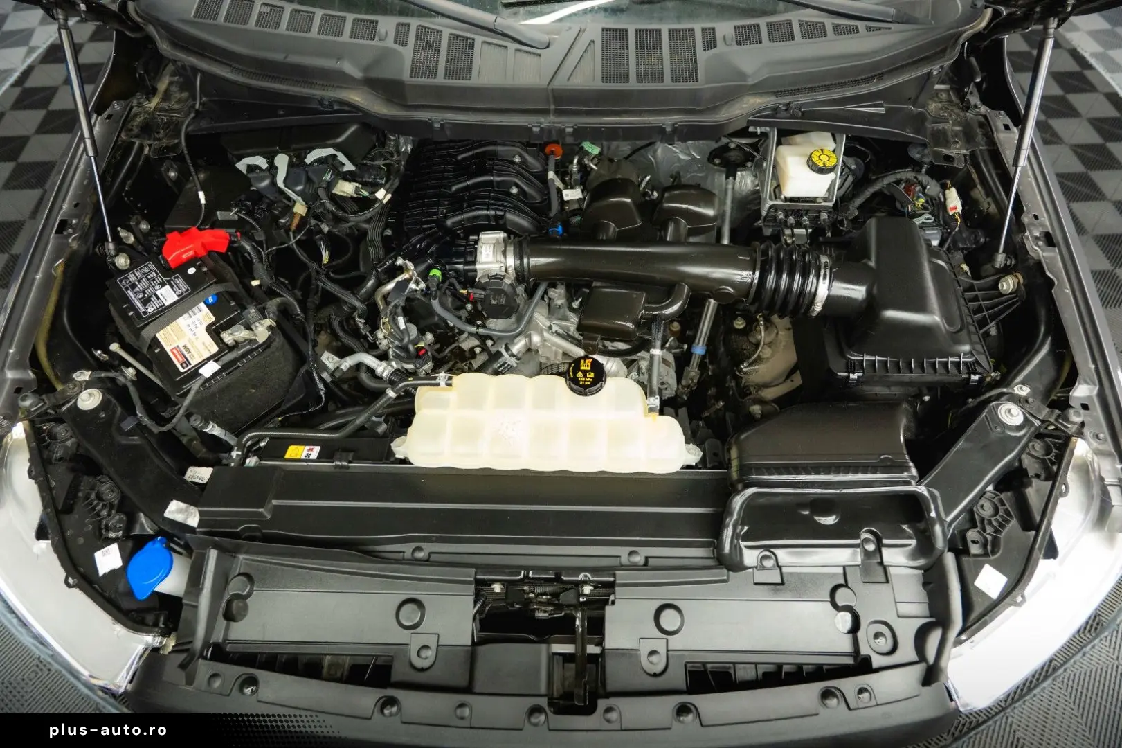 F150 3.3 V6 Offroad Raptor Singlecab Longbed 19%