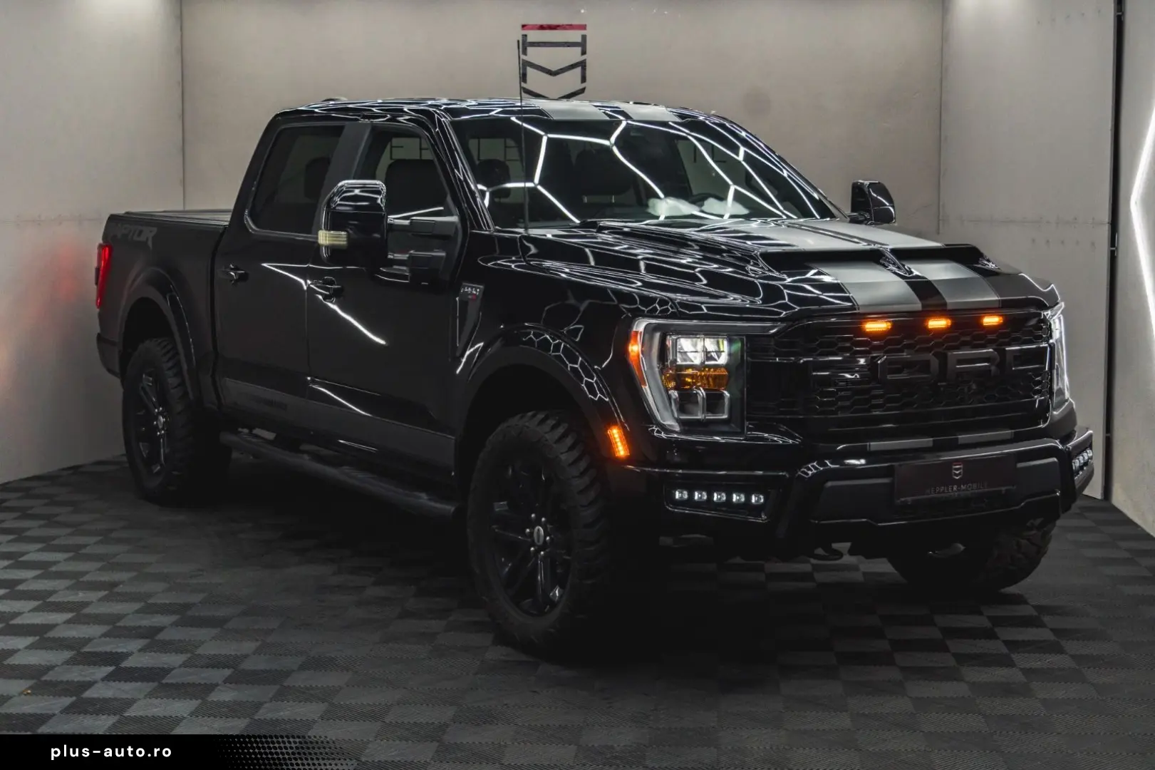 F 150 RAPTOR Suche nach wunsch