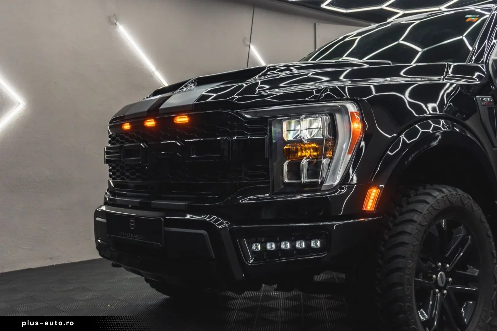 F 150 RAPTOR Suche nach wunsch