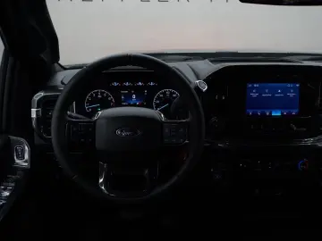 F 150 RAPTOR Suche nach wunsch