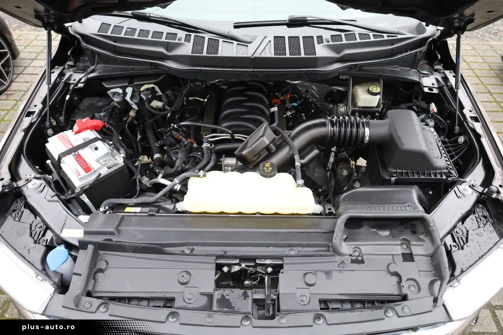 F150 5.0 V8 SuperCrew KAMERA AHK SHZ SBL TTW R18