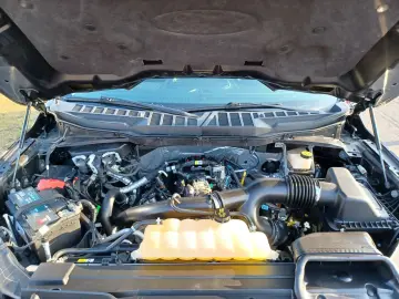 F 150.4x4SuperCrew10-Gang.360 Panoramadach