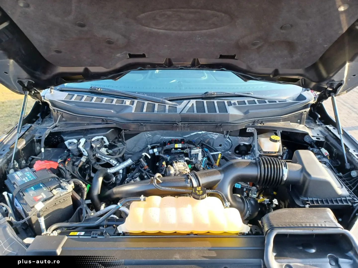 F 150.4x4SuperCrew10-Gang.360 Panoramadach