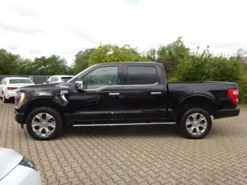 F-150 3.5 V6 EcoBoost 4x4 Platinum Pano AHK