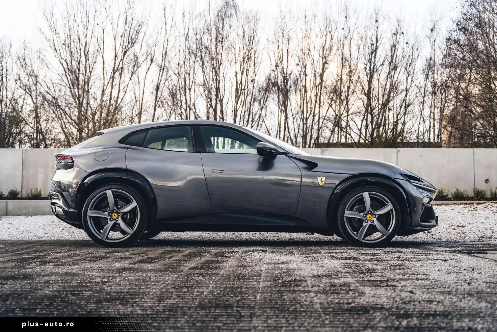 Purosangue Grigio Silverstone   Hea Mass Seats