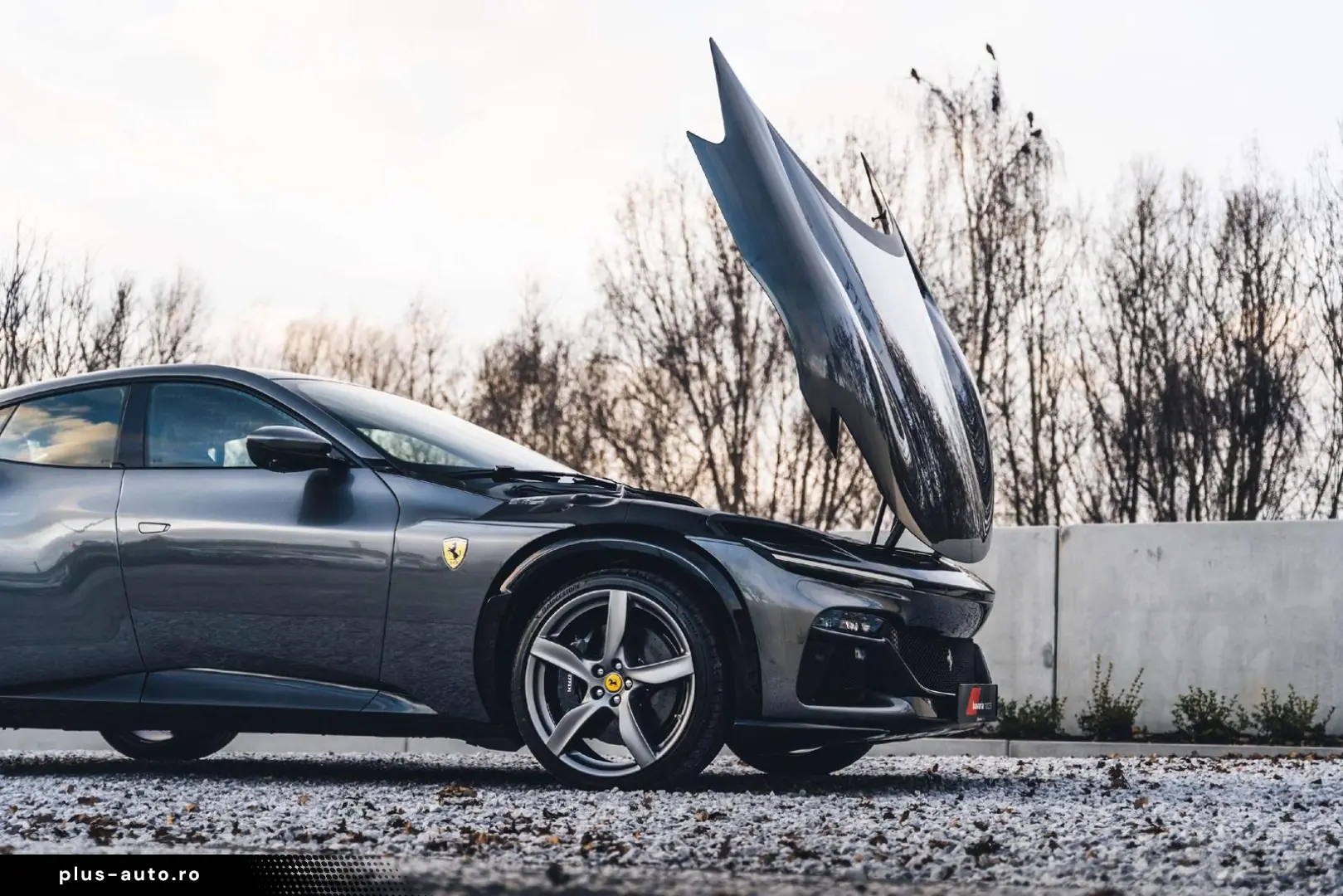 Purosangue Grigio Silverstone   Hea Mass Seats