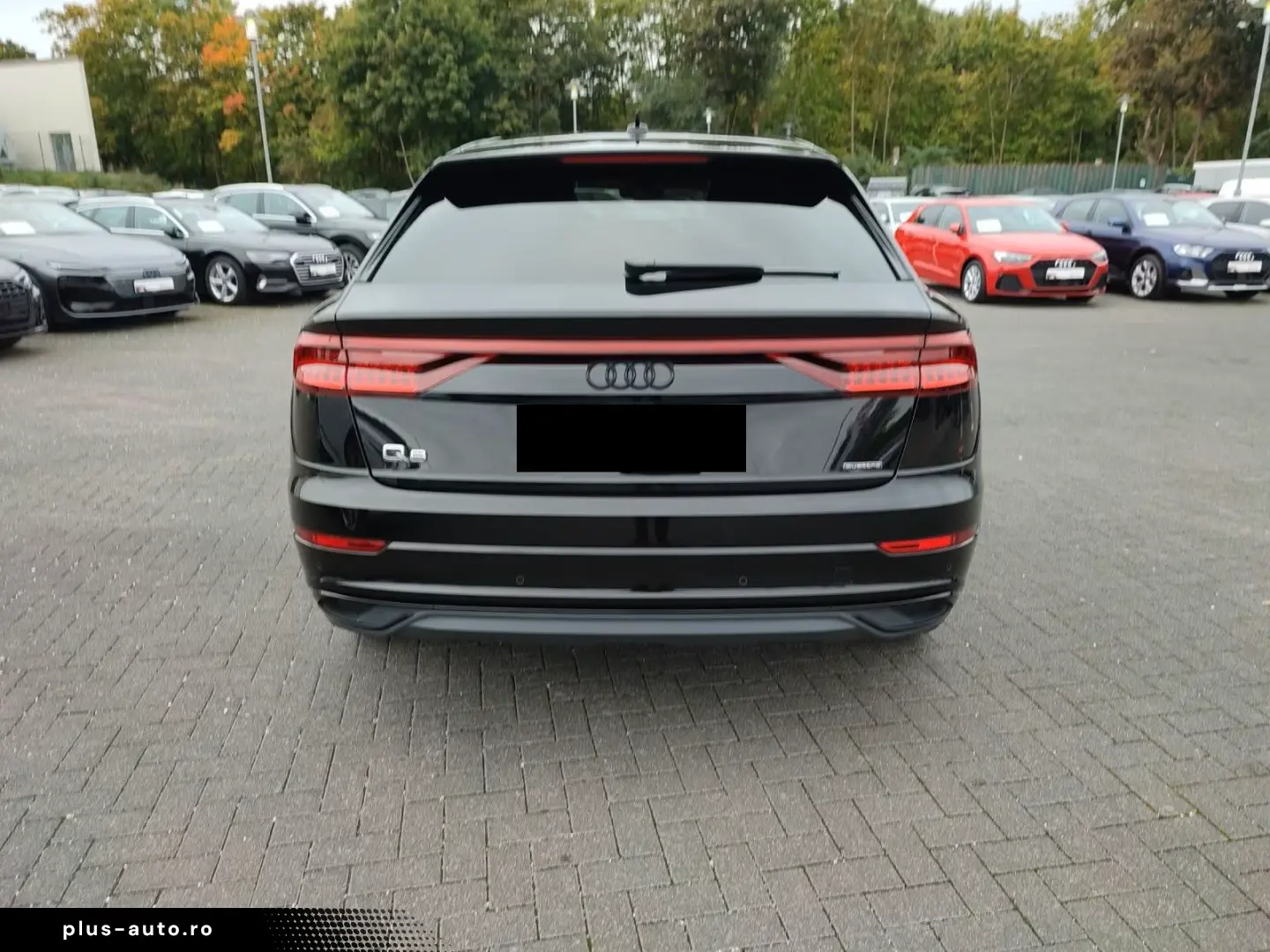 Q8 SUV 50 TDI quattro S line Optikpaket virtual