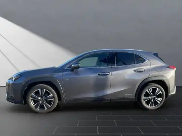 UX 250 h STYLE Edition 15J-GARANTIE